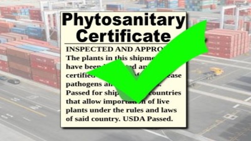 Phytosanitary certificate